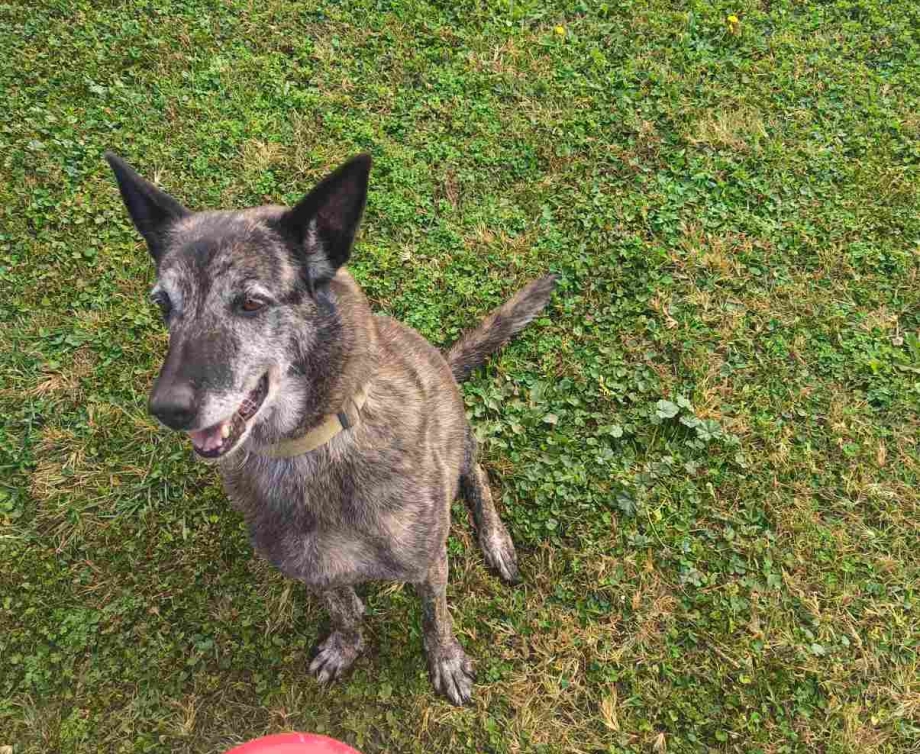 εικόνα_Viber_2025-11-04_10-28-53-525